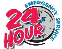 State Locksmith Services South Orange, NJ 973-864-3118 - eme-01